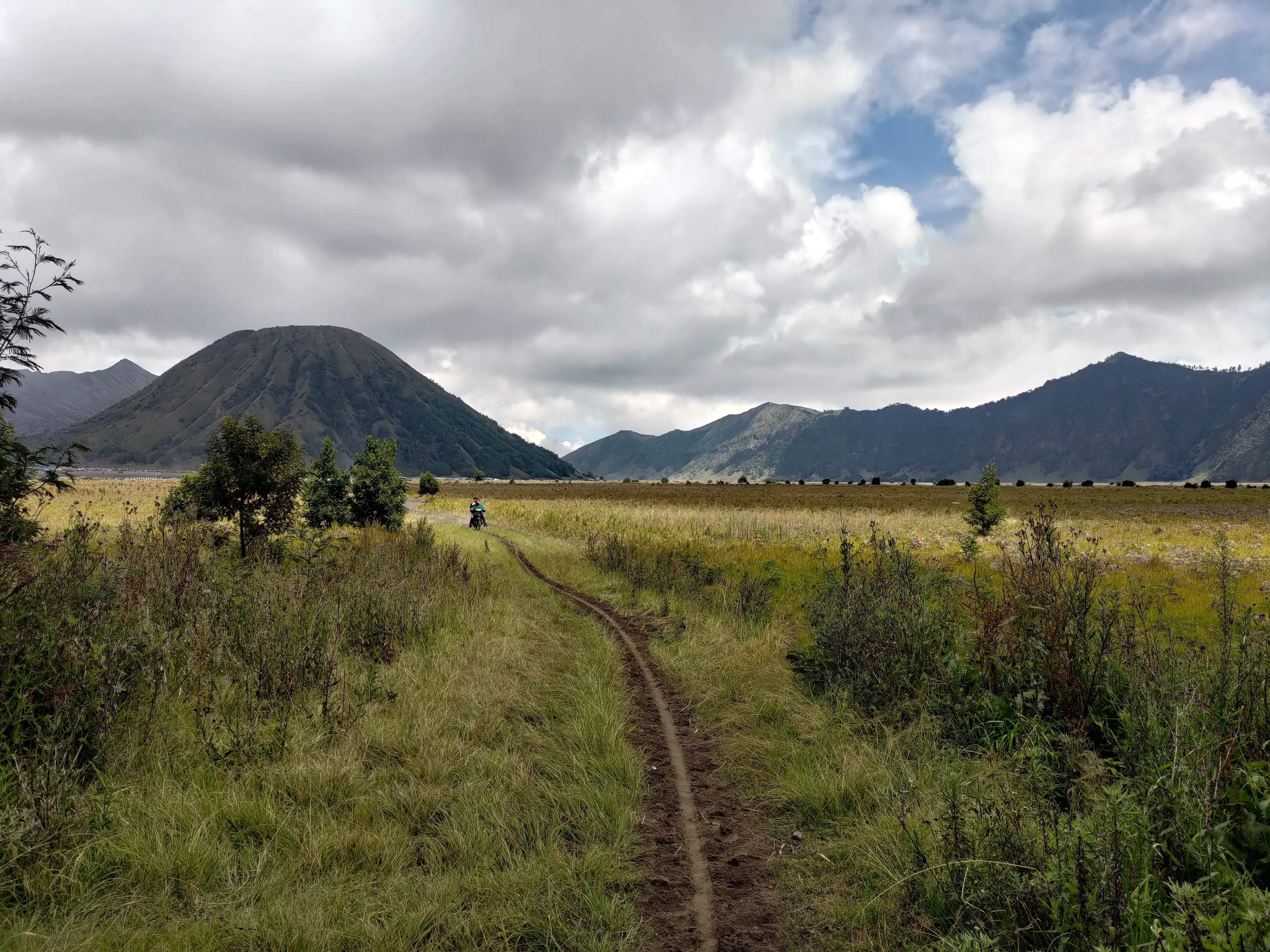 Savannah-like environment at the edge of caldera